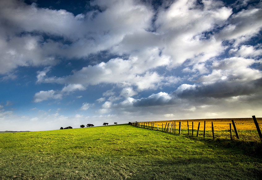sussex-landscape